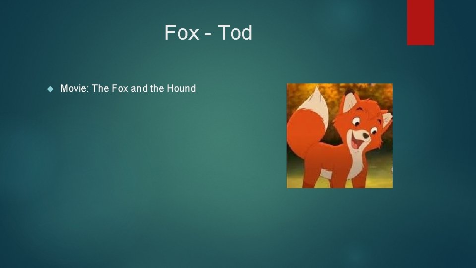 Fox - Tod Movie: The Fox and the Hound 