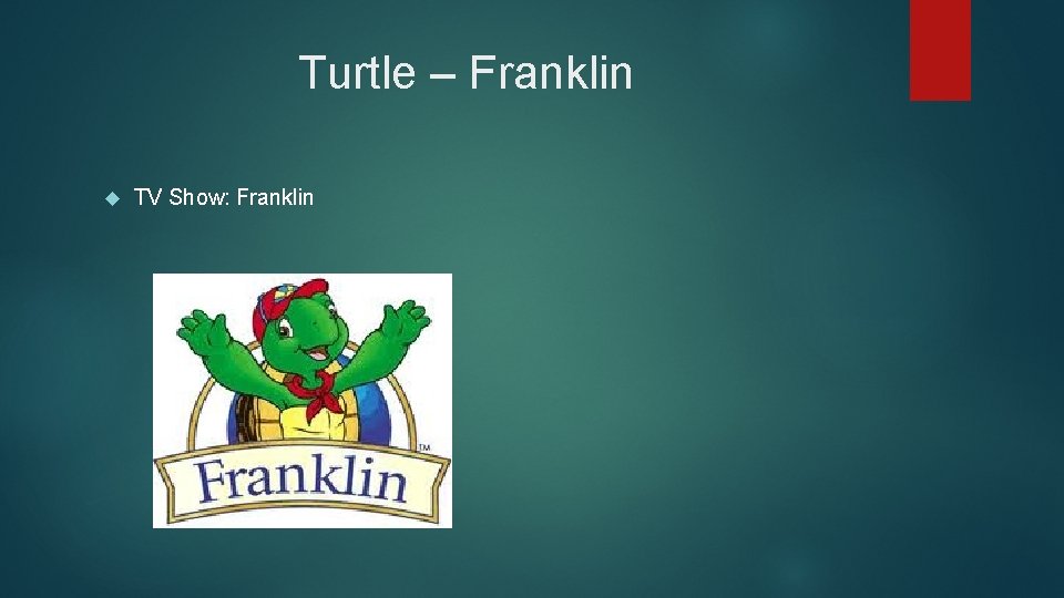 Turtle – Franklin TV Show: Franklin 