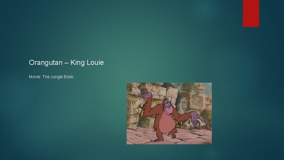 Orangutan – King Louie Movie: The Jungle Book 