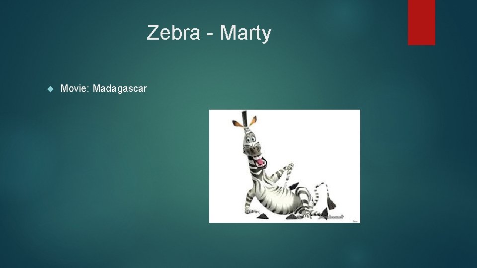 Zebra - Marty Movie: Madagascar 