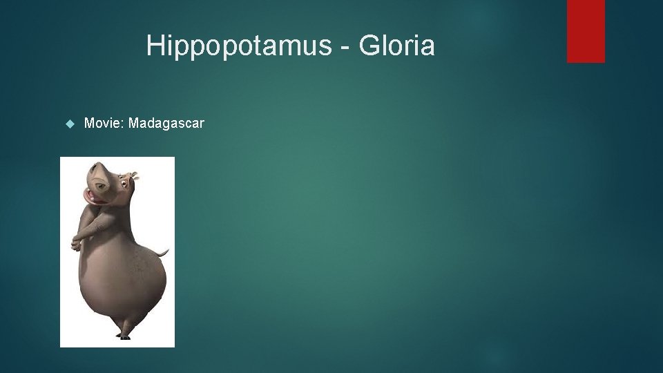 Hippopotamus - Gloria Movie: Madagascar 