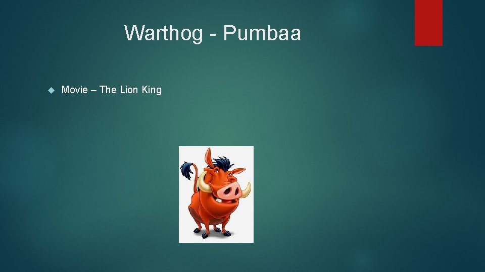 Warthog - Pumbaa Movie – The Lion King 