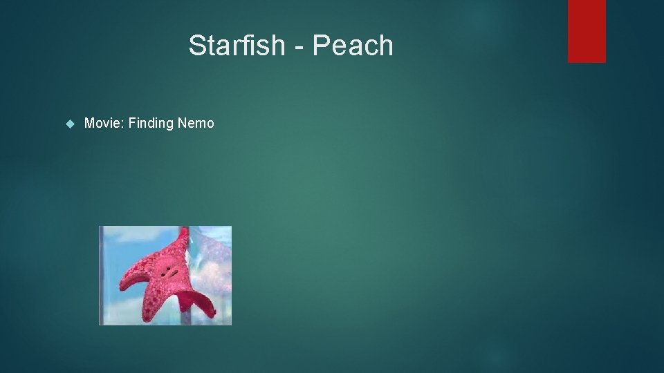 Starfish - Peach Movie: Finding Nemo 