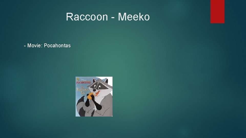 Raccoon - Meeko - Movie: Pocahontas 