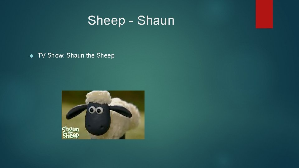Sheep - Shaun TV Show: Shaun the Sheep 