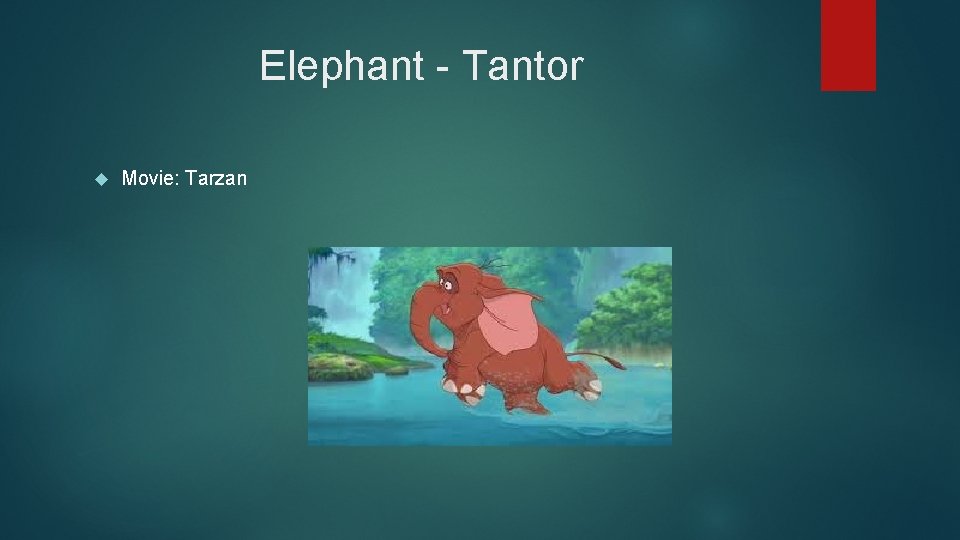 Elephant - Tantor Movie: Tarzan 