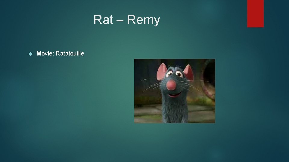 Rat – Remy Movie: Ratatouille 