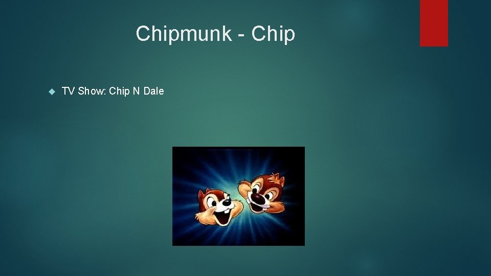 Chipmunk - Chip TV Show: Chip N Dale 