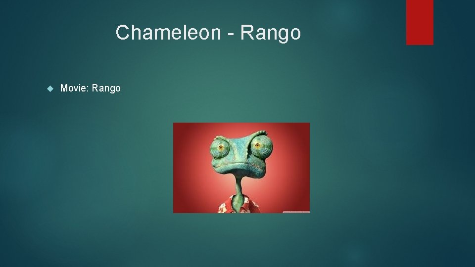 Chameleon - Rango Movie: Rango 