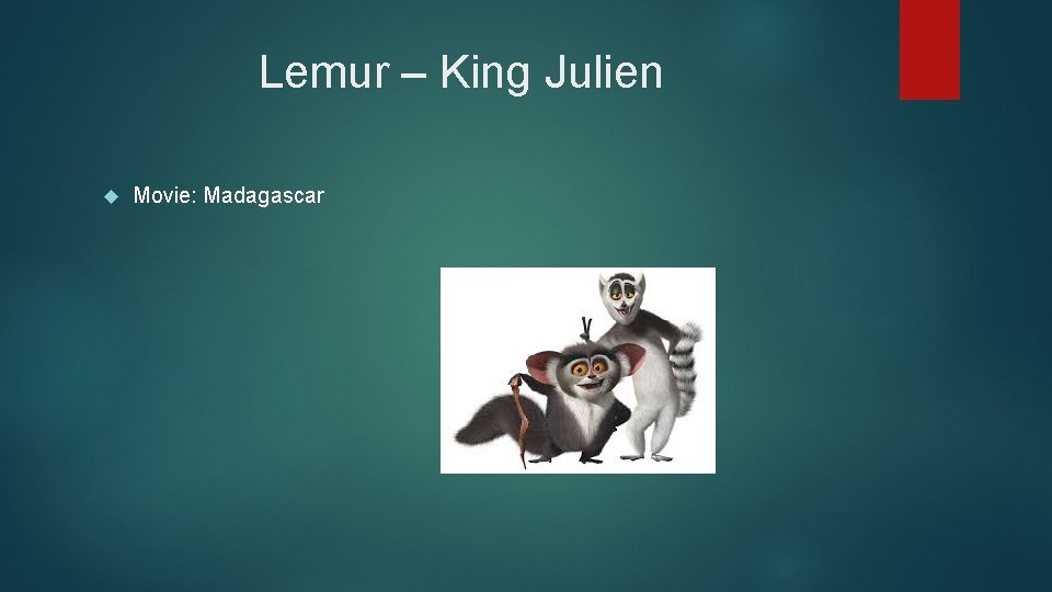 Lemur – King Julien Movie: Madagascar 