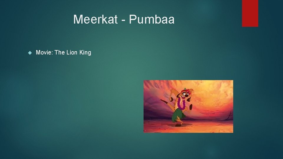 Meerkat - Pumbaa Movie: The Lion King 