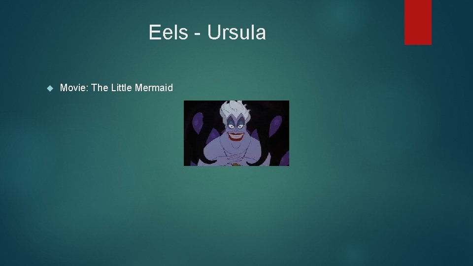 Eels - Ursula Movie: The Little Mermaid 