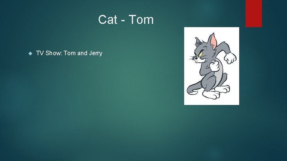 Cat - Tom TV Show: Tom and Jerry 