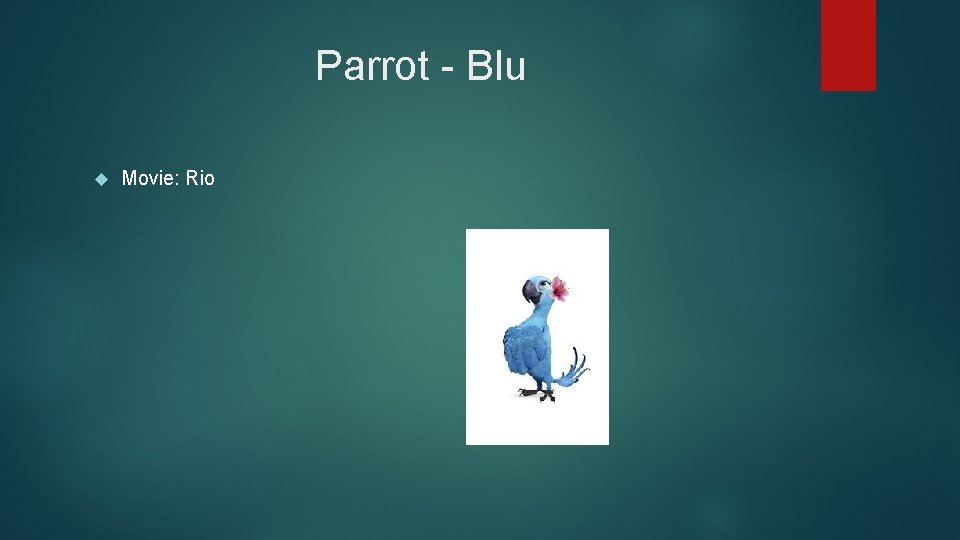 Parrot - Blu Movie: Rio 