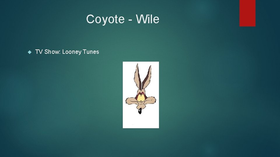 Coyote - Wile TV Show: Looney Tunes 