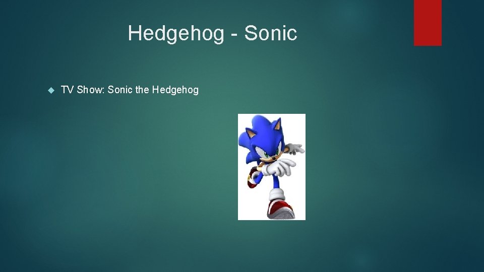 Hedgehog - Sonic TV Show: Sonic the Hedgehog 