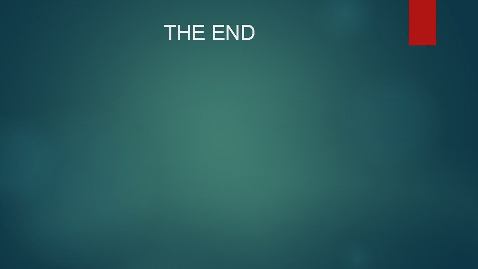 THE END 