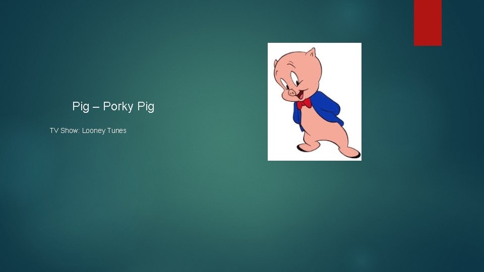 Pig – Porky Pig TV Show: Looney Tunes 