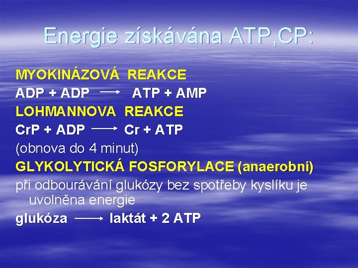 Energie získávána ATP, CP: MYOKINÁZOVÁ REAKCE ADP + ADP ATP + AMP LOHMANNOVA REAKCE