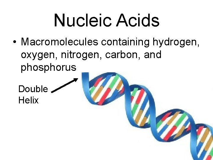 Nucleic Acids • Macromolecules containing hydrogen, oxygen, nitrogen, carbon, and phosphorus Double Helix 