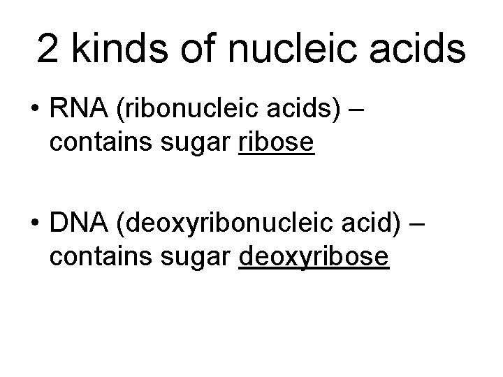 2 kinds of nucleic acids • RNA (ribonucleic acids) – contains sugar ribose •