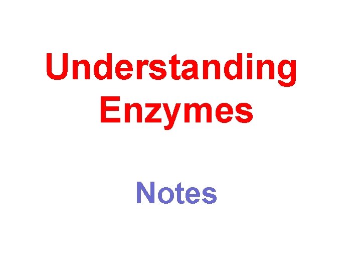 Understanding Enzymes Notes 