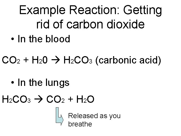 Example Reaction: Getting rid of carbon dioxide • In the blood CO 2 +