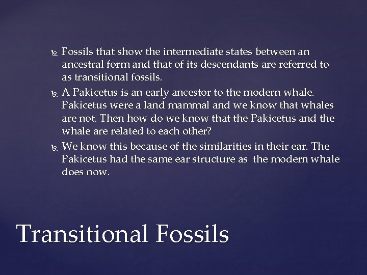  Fossils that show the intermediate states between an ancestral form and that of