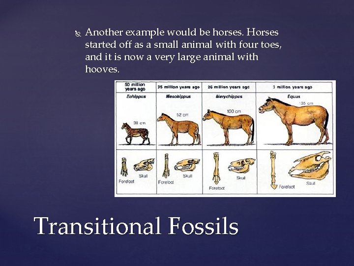  Another example would be horses. Horses started off as a small animal with