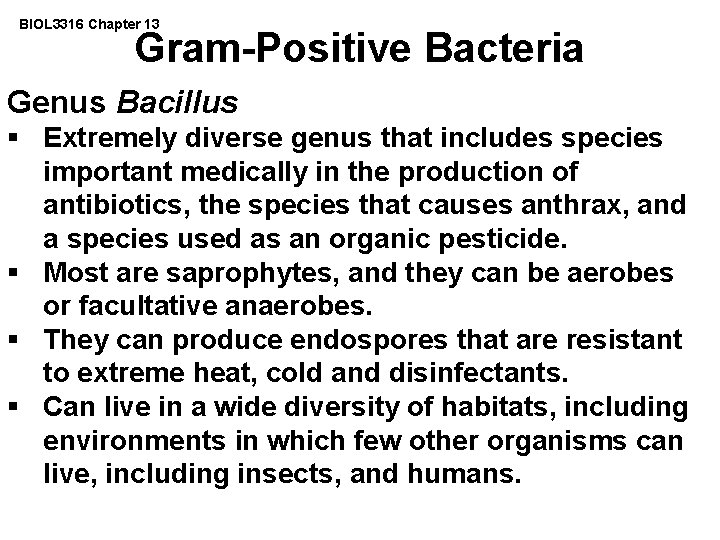 BIOL 3316 Chapter 13 Gram-Positive Bacteria Genus Bacillus § Extremely diverse genus that includes