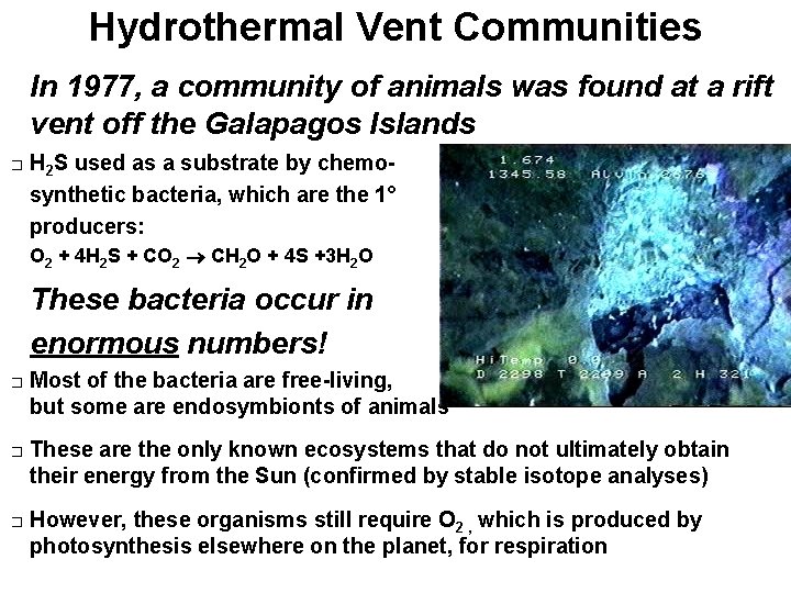 Hydrothermal Vent Communities In 1977, a community of animals was found at a rift