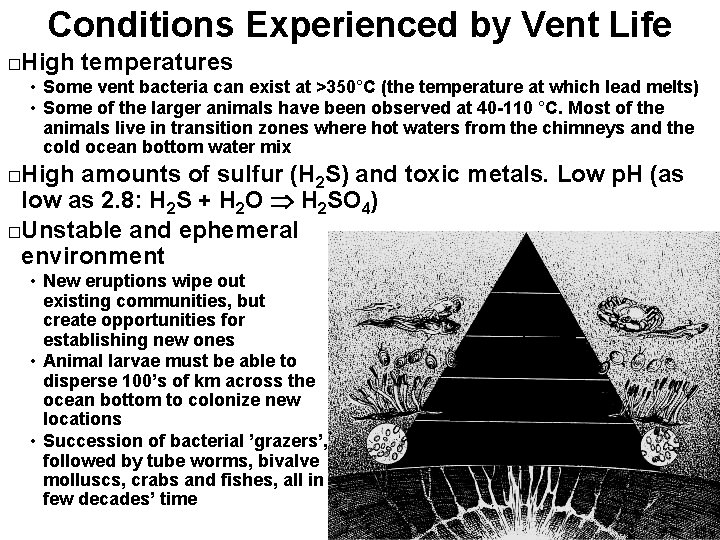 Conditions Experienced by Vent Life High temperatures � • Some vent bacteria can exist