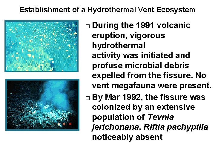 Establishment of a Hydrothermal Vent Ecosystem During the 1991 volcanic eruption, vigorous hydrothermal activity