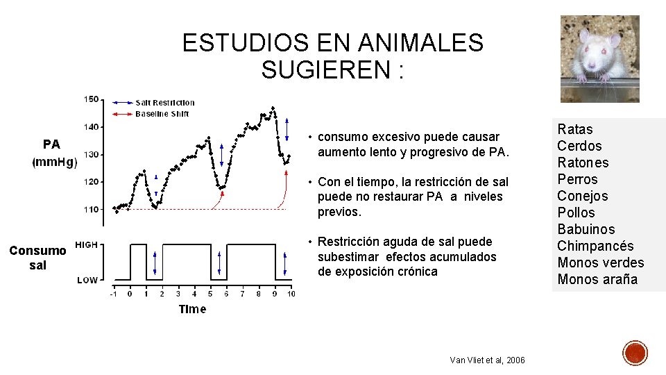 ESTUDIOS EN ANIMALES SUGIEREN : PA • consumo excesivo puede causar aumento lento y