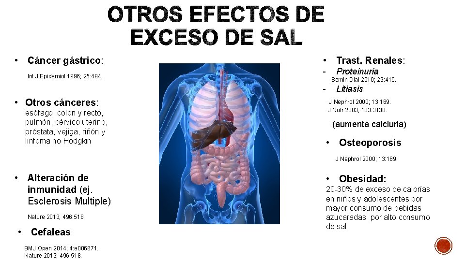 OTROS EFECTOS DE EXCESO DE SAL • Cáncer gástrico: Int J Epidemiol 1996; 25: