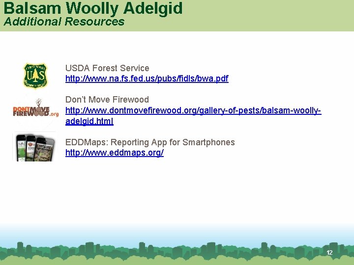 Balsam Woolly Adelgid Additional Resources USDA Forest Service http: //www. na. fs. fed. us/pubs/fidls/bwa.