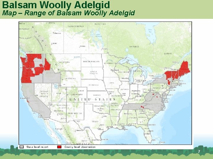 Balsam Woolly Adelgid Map – Range of Balsam Woolly Adelgid 7 