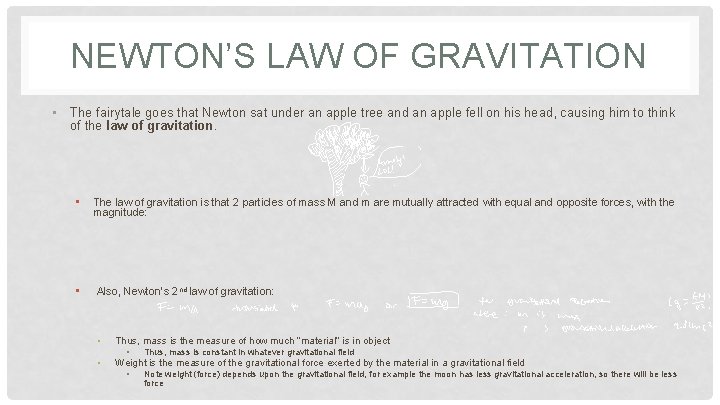 NEWTON’S LAW OF GRAVITATION • The fairytale goes that Newton sat under an apple