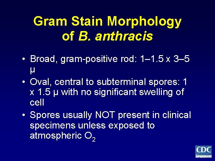 Gram Stain Morphology of B. anthracis • Broad, gram-positive rod: 1– 1. 5 x