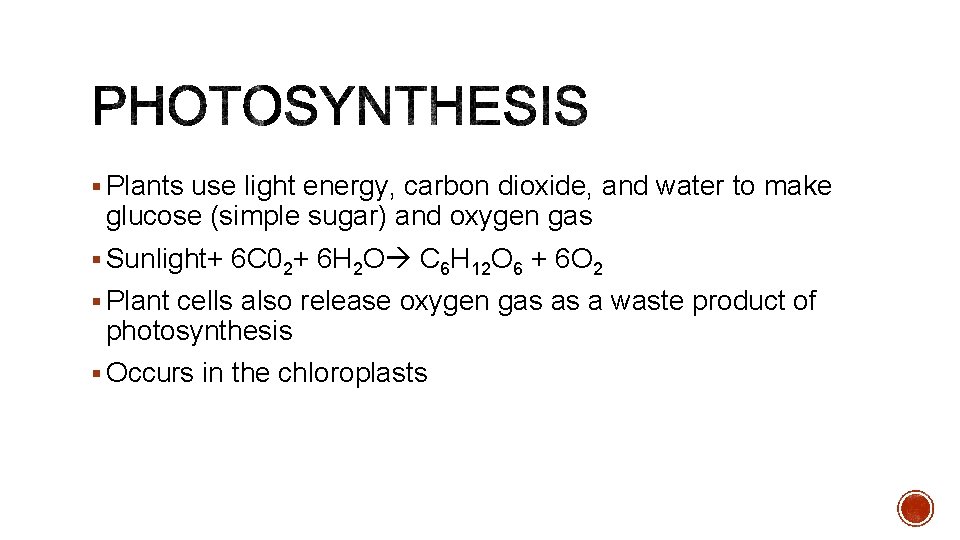 § Plants use light energy, carbon dioxide, and water to make glucose (simple sugar)