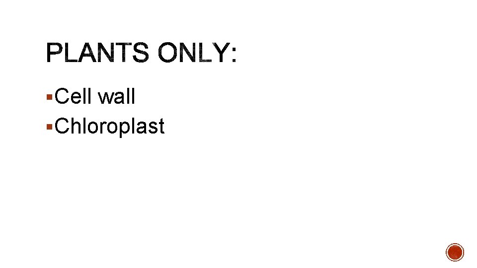 §Cell wall §Chloroplast 