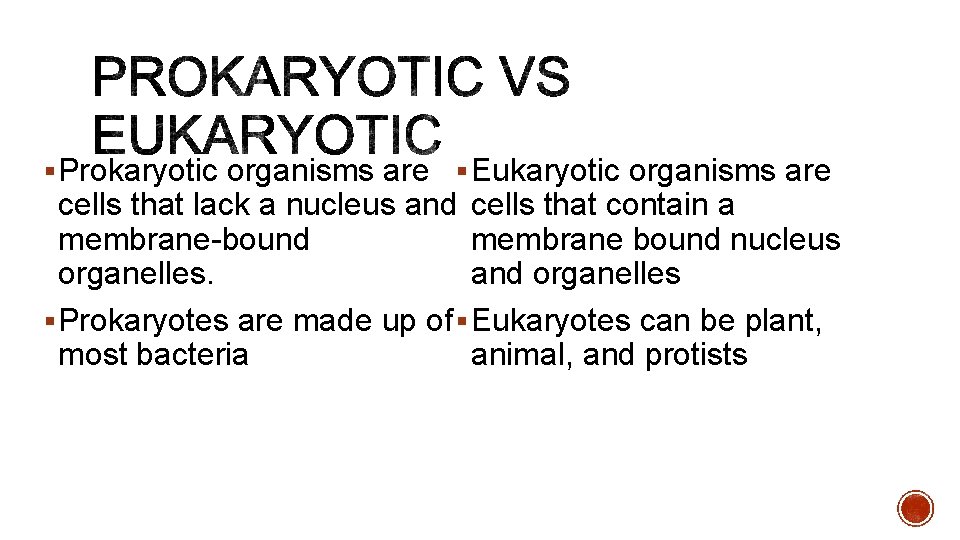 § Prokaryotic organisms are § Eukaryotic organisms are cells that lack a nucleus and