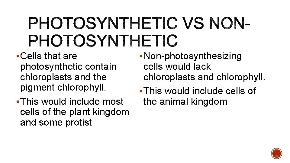§ Cells that are photosynthetic contain chloroplasts and the pigment chlorophyll. § This would