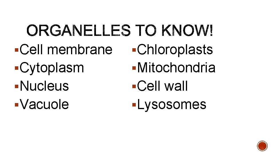 §Cell membrane §Chloroplasts §Cytoplasm §Mitochondria §Nucleus §Cell wall §Vacuole §Lysosomes 