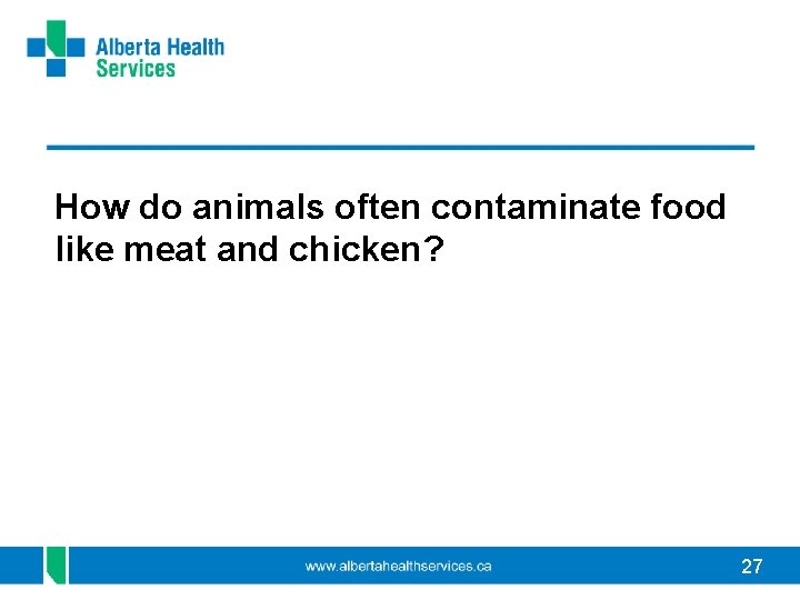 How do animals often contaminate food like meat and chicken? 27 