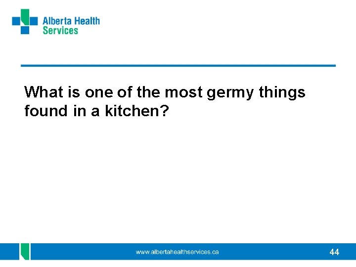 What is one of the most germy things found in a kitchen? 44 