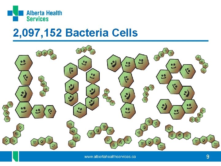 2, 097, 152 Bacteria Cells 9 