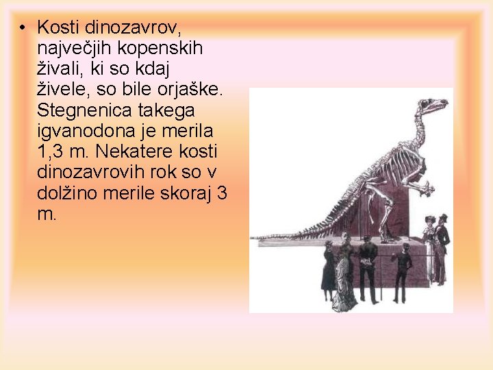  • Kosti dinozavrov, največjih kopenskih živali, ki so kdaj živele, so bile orjaške.