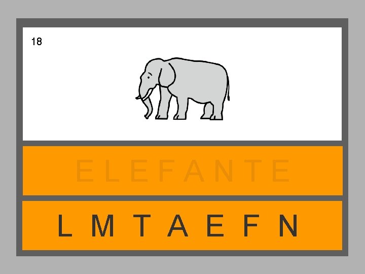 18 ELEFANTE L M T A E F N 