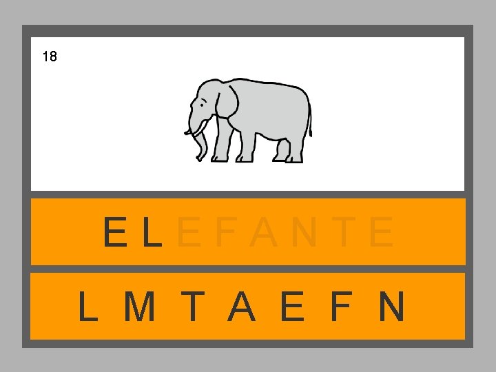 18 ELEFANTE L M T A E F N 